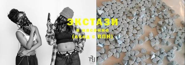 стаф Алзамай