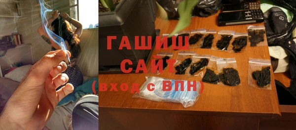 стаф Алзамай