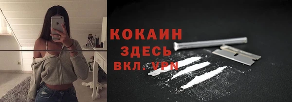 стаф Алзамай
