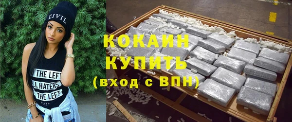стаф Алзамай