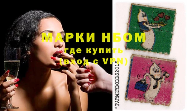 стаф Алзамай